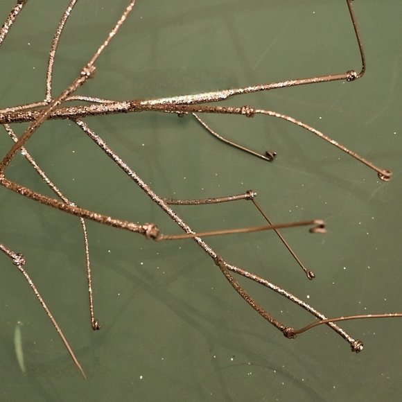 Metal Christmas Tree Photo Holder - Picture 6 of 9